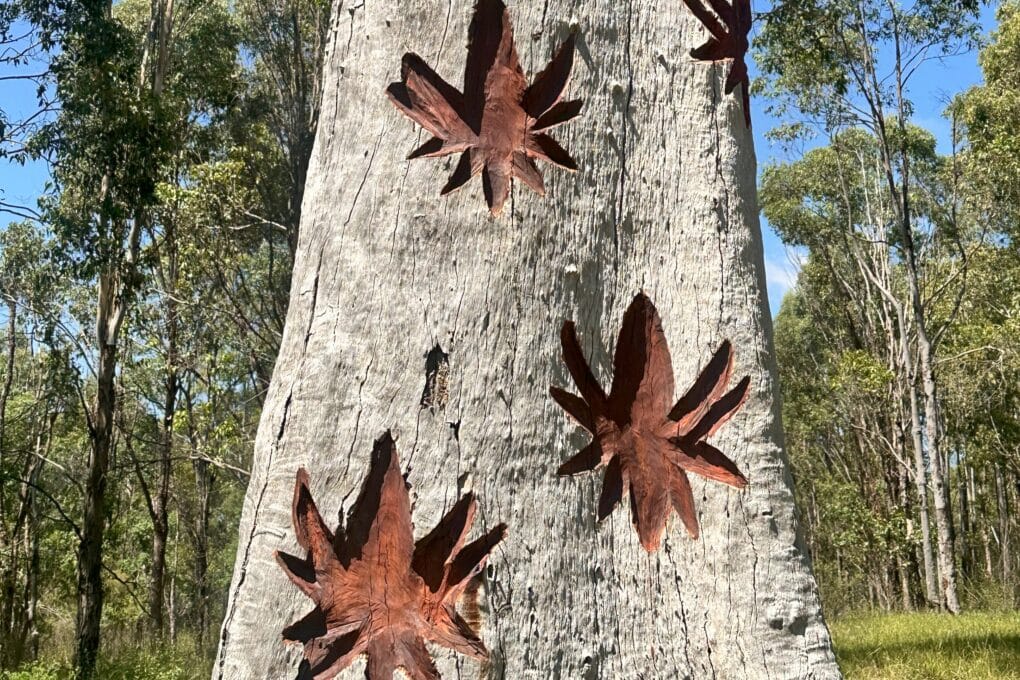 Gabrugal Yana | Indigenous Public Art Project