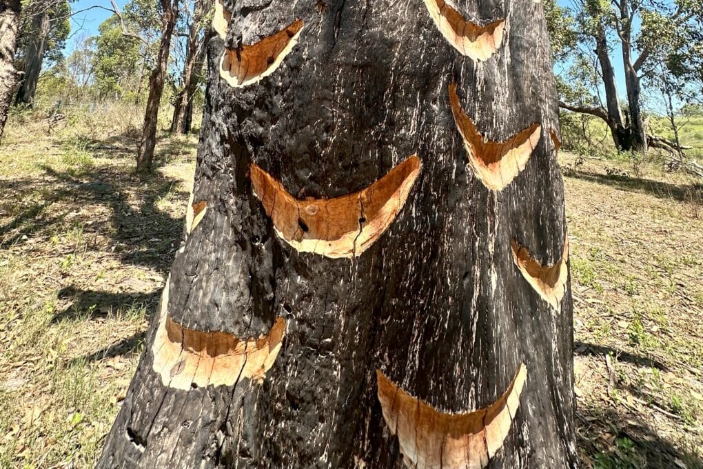Indigenous Public Art