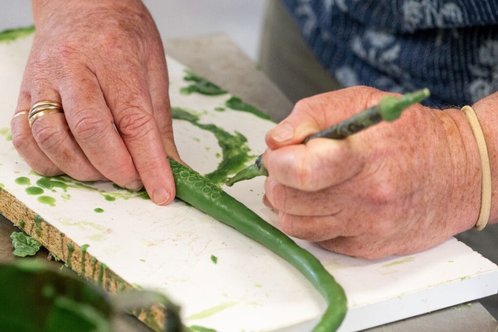 The making of Leanne Tobin's 'The Call of Ngura (Country)'